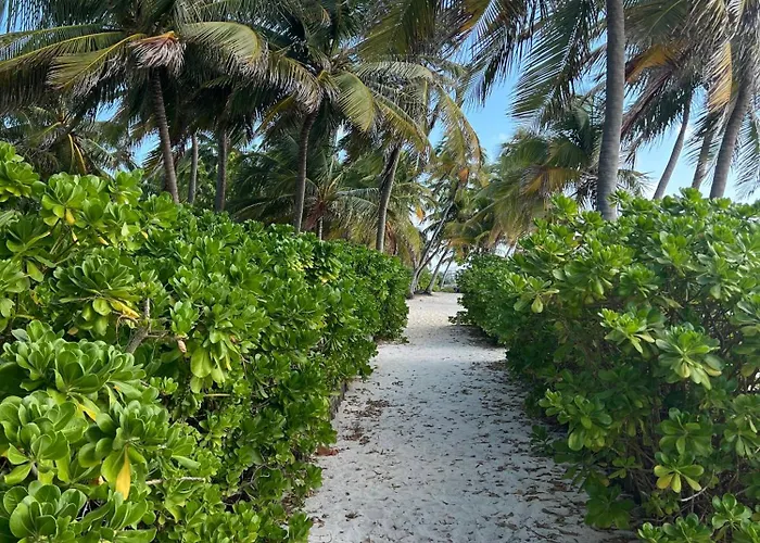 Holiday home White Sands Cove C02-ocean View 2 Bedroom By Floreo San Pedro (Ambergris Caye)